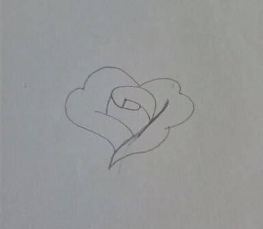 玫瑰花简笔画怎么画(图解步骤)