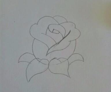 玫瑰花简笔画怎么画(图解步骤)