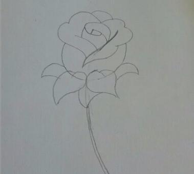 玫瑰花简笔画怎么画(图解步骤)