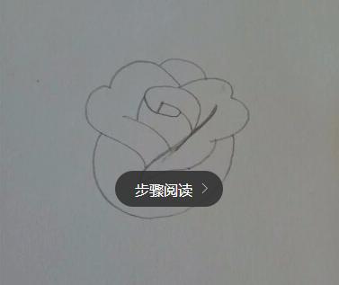 玫瑰花简笔画怎么画(图解步骤)