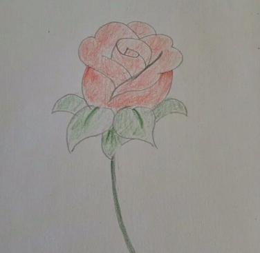 玫瑰花简笔画怎么画(图解步骤)