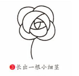 玫瑰花简笔画怎么画(图解步骤)