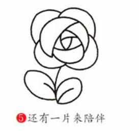玫瑰花简笔画怎么画(图解步骤)
