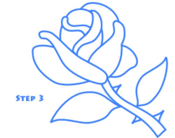 玫瑰花简笔画怎么画(图解步骤)
