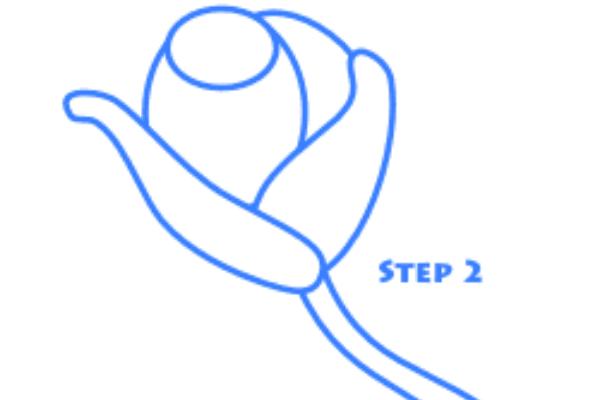 玫瑰花简笔画怎么画(图解步骤)