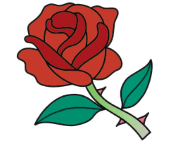 玫瑰花简笔画怎么画(图解步骤)