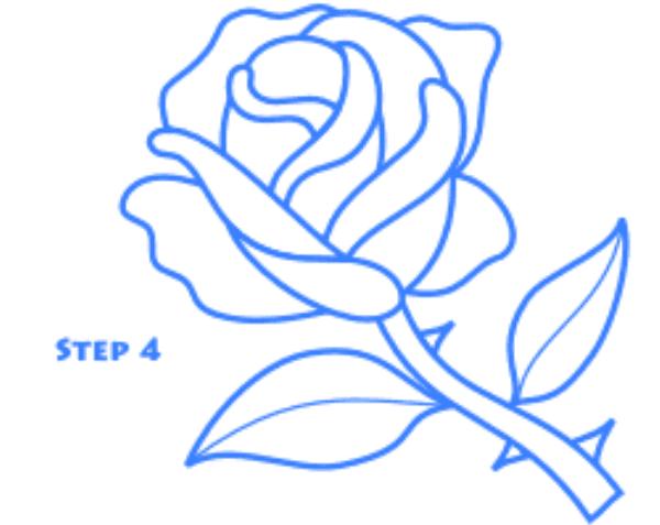 玫瑰花简笔画怎么画(图解步骤)