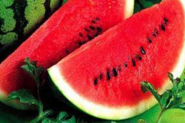 西瓜为什么叫西瓜