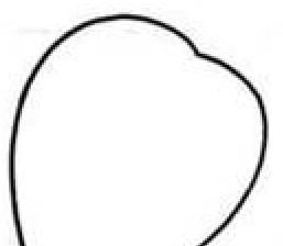 草莓简笔画(图解步骤)