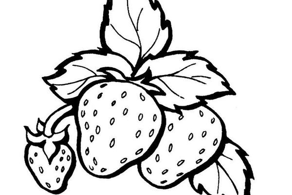 草莓简笔画(图解步骤)