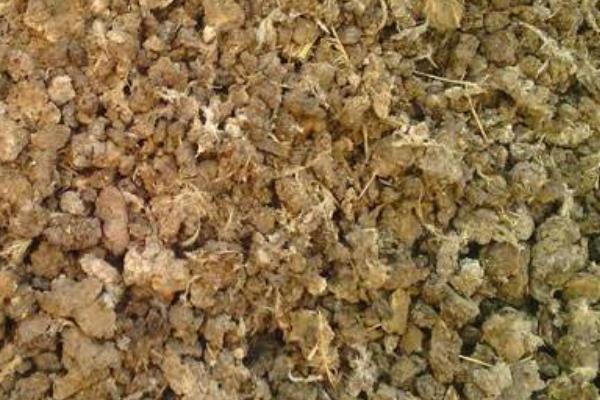 养蚯蚓用什么土?