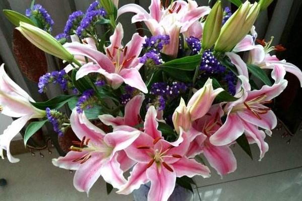 百合花放在卧室好吗