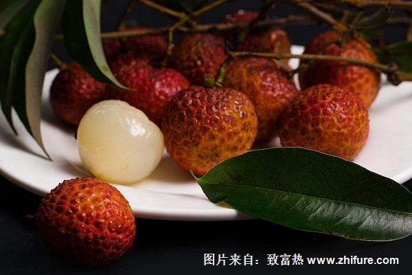 桂圆与荔枝的区别是什么