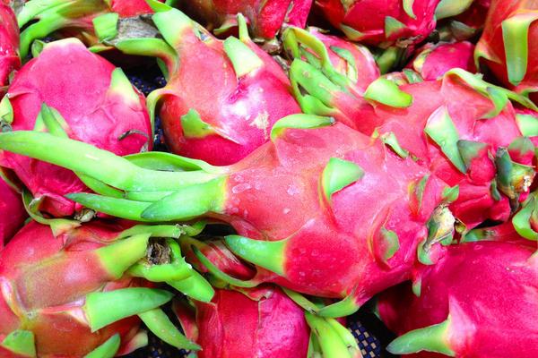 火龙果市场价格多少钱一斤