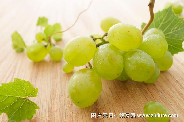 绿葡萄可以做葡萄酒吗