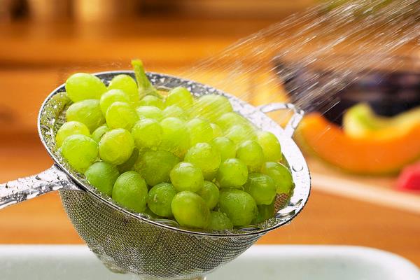 绿葡萄可以做葡萄酒吗