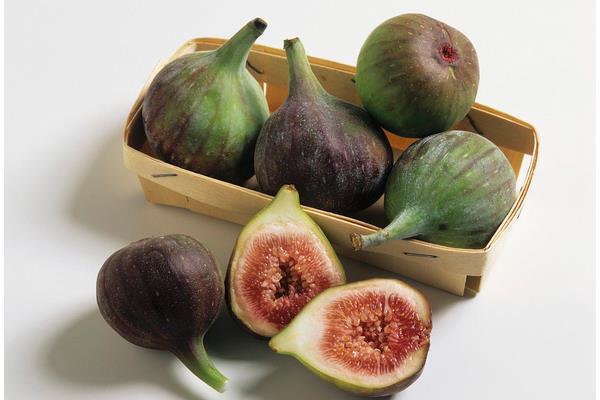 无花果能治痔疮吗