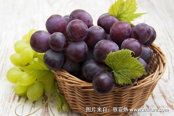 提子和葡萄的区别是什么