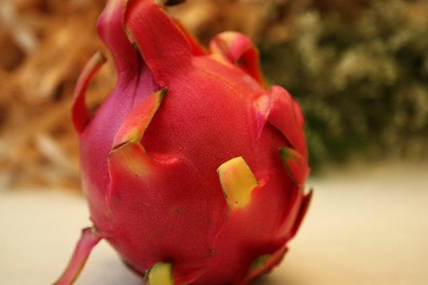 火龙果怎么保存