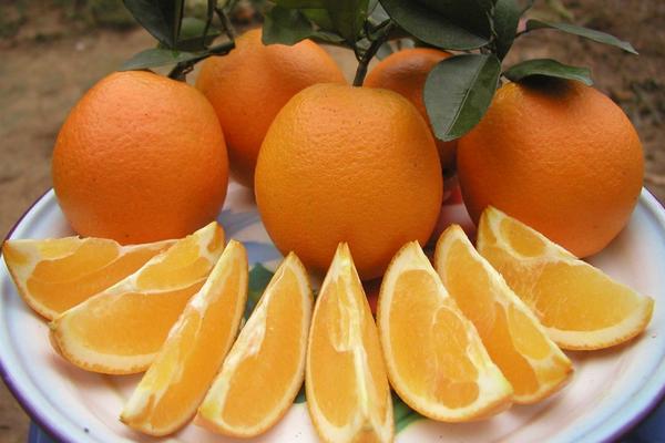 赣南脐橙的营养价值