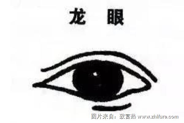 龙眼眼型是什么样子（图解）