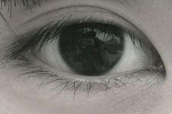 龙眼眼型是什么样子（图解）