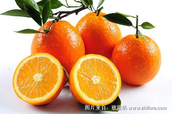 伦晚脐橙价格多少钱一斤