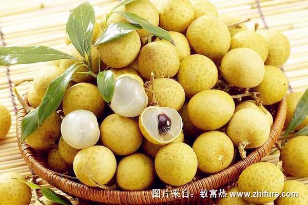 石硖龙眼产地在哪里