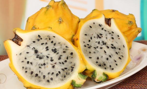 黄皮火龙果价格多少钱一斤