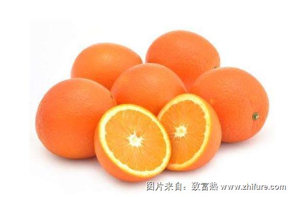 纽荷尔脐橙种植技术