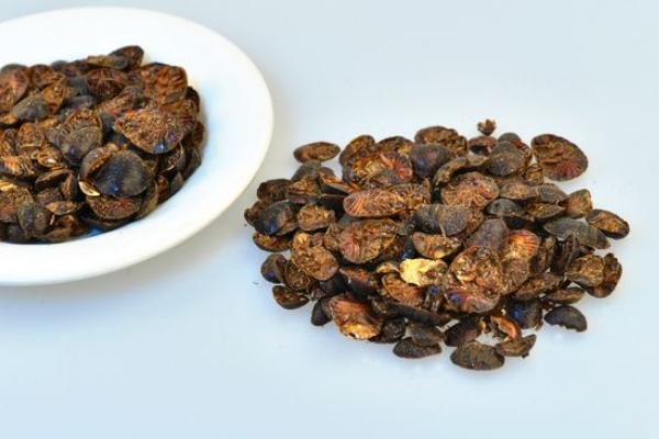 土元有哪些功效作用?