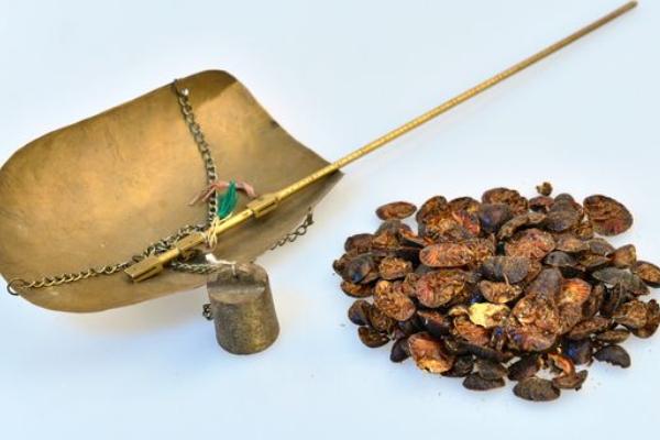 土元价格多少钱一斤?