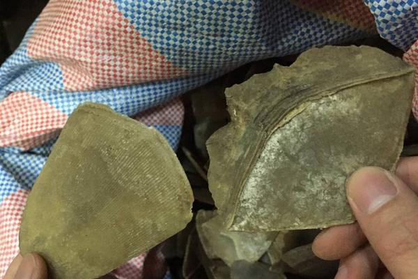 穿山甲鳞片治疗痛风吗?