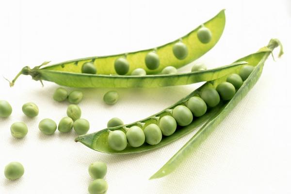 穿山甲怎么吃下奶?