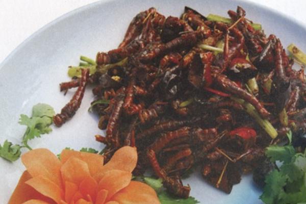 蝗虫可以吃吗？