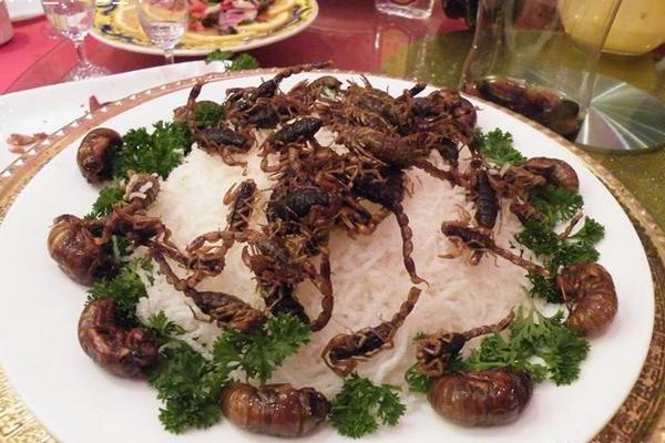 孕妇能吃蝎子吗?