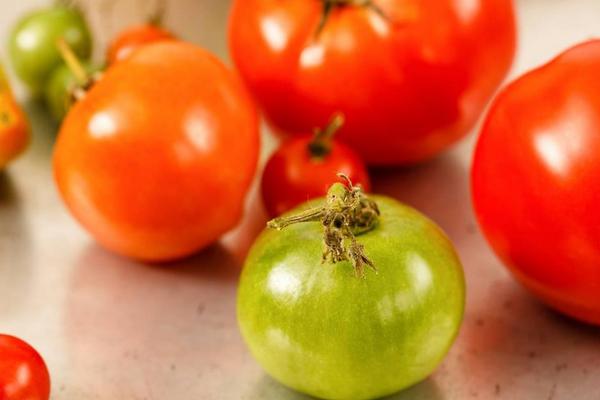 孕妇能吃蝎子吗?