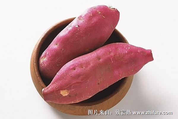 孕妇可以吃红薯吗?