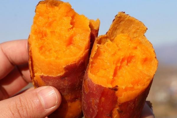 孕妇可以吃红薯吗?