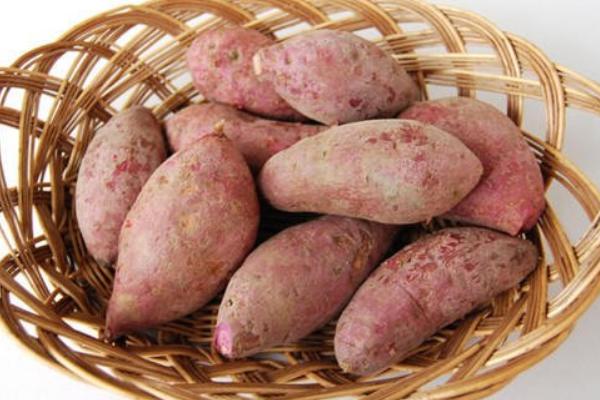 孕妇可以吃红薯吗?