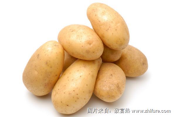 马铃薯是土豆还是红薯?