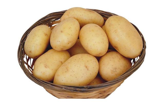 马铃薯是土豆还是红薯?