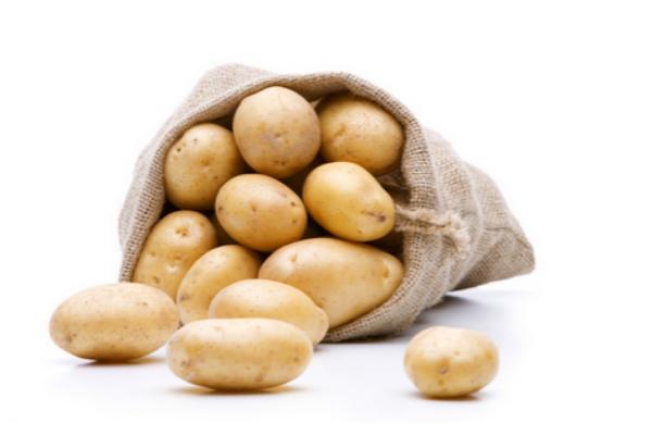 马铃薯是土豆还是红薯?