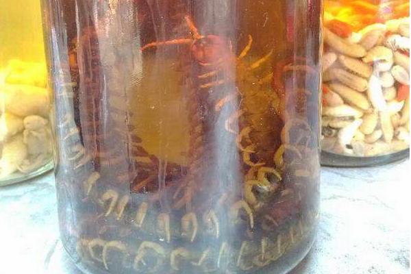 蜈蚣泡酒有什么功效作用?