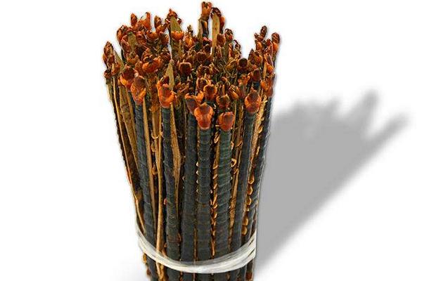 蜈蚣泡酒有什么功效作用?