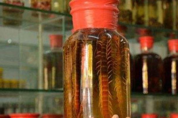 蜈蚣泡酒有什么功效作用?