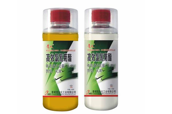 家里有蜈蚣怎么办?