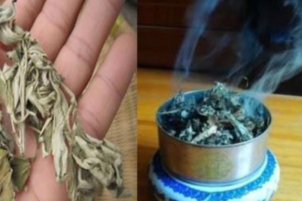 家里有蜈蚣怎么办?