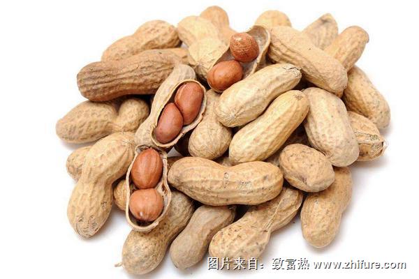 花生价格多少钱一斤?