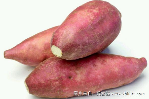 煮红薯要多长时间?